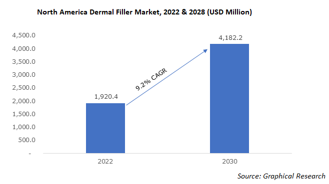 Plastic Fillers Market Size and Share